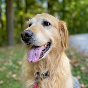 Meet your Posher, Jon